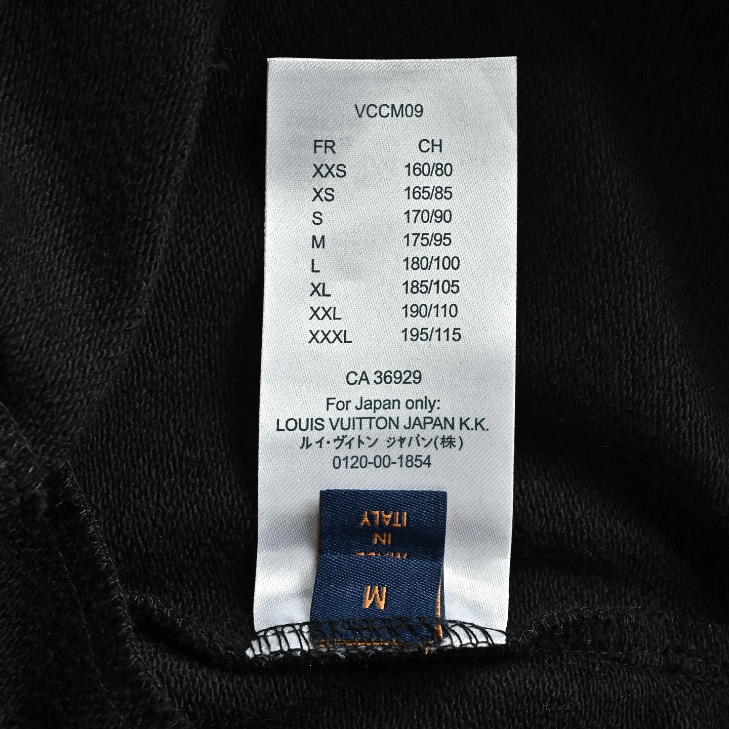 Louis Vuitton/Louis Vuitton 26ss ghosting presbyopic embroidered shorts